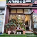 시현화플라워