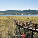 갈대2축구장 이미지