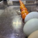 대장군농장 이미지