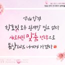 성원엠디 이미지