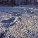 공룡 발자국화석지 이미지