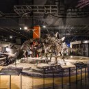 국립과천과학관 이미지