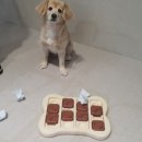 하울팟 위례점 이미지