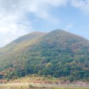 평지못(1) 이미지