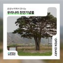 화천 황쏘가리 서식지 | [OPEN DIARY📸] 우리나라 천연기념물도 공공누리에서 알아봐요! 🥰