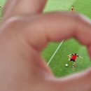 황인재약국 | ⚽ᴘᴏʜᴀɴɢ [절망편] 축구 볼 때 끝까지 앉아 있어야 하는 이유.txt 👉 K리그 포항 VS 제주 직관 후기