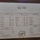 멍멍이와 숲속에서 이미지