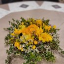 카멜리아플라워 이미지