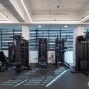 바디어필 이미지