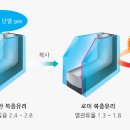 로이복사 이미지