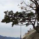 휴대용 HF 안테나 (P77C) 7~ 54 MHz 이미지