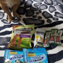 애견나라 백화점 이미지