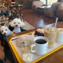 투게더 동물병원 이미지