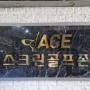 에이스스크린골프 이미지