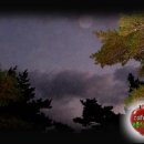 달빛추억 이미지