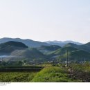 도종목장 티스토리