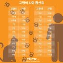 개와 고양이 사람 나이 환산표 이미지