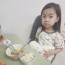 산청도서관 | 25.12.20-22 매일매일 메모리카드, 상계도서관 문화행사 / 생후 1728-1730일차