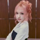 리즈모던 스타패션