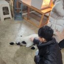 고창농원 | 고창 상하농원 솔직 후기｜아이와 함께 다녀온 주말 나들이