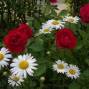 꽃소아청소년과의원 이미지