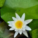 열린마음허정신건강의학과의원 | 94세 엄마 장기요양등급 받기 도전｜치매 진단부터 의사소견서 제출까지