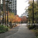 자이아파트 이미지