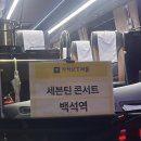 디노사이버 | SEVENTEEN WORLD TOUR［NEW_］IN INCHEON 후기