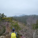 땅통종주＜3＞(땅끝/월산마을~노룡재)46.5km.. 설렘 가득했던 날.. 이미지