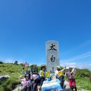 2023년 7월 29일(토) 태백산~함백산 산행후기 이미지