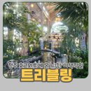 봄 맞이 힐링 라탄 | 호크와트에 온 느낌 이국적인 청주 대형베이커리카페 트리블링