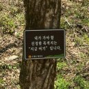 평창 오대산사고등록 | [오대산 월정사] 바쁜 일상에서 잠시 벗어나 지금 여기로