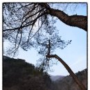 새방골산방 이미지