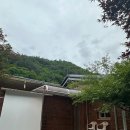 인제 | 3번째 방문, 인제 갯골산머루민박 후기 및 달라진점