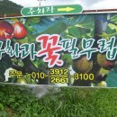 영암햇살농장 Daum카페