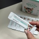 펫프로젝트 이미지