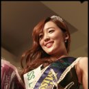 에코 코리아 이미지