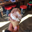 8900이면도야지 이미지