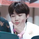 채찬 이미지