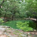 [서울] 북악산 북쪽 자락에 숨겨진 상큼한 별천지, 19세기 별서 유적을 지닌 부암동 백사실계곡 (부암동 백석동천, 백사폭포) 이미지