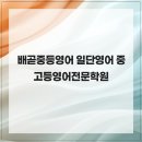 일단영어중고등영어전문학원 - 용인시 수지구 광교중앙로 313 | 일단영어중고등영어전문학원