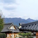 국화마을펜션 이미지