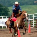 카우보이 이미지