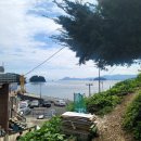 대밭횟집 이미지