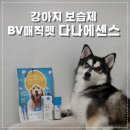 다나바이오 | 강아지 피부 보습 올인원 다나 에센스 사용 후기
