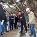 무풍시장 이미지