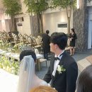 민채축사 네이버블로그