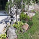 계곡담은집 이미지