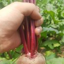 문수농장 이미지