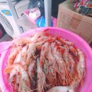 암남공원로 이미지